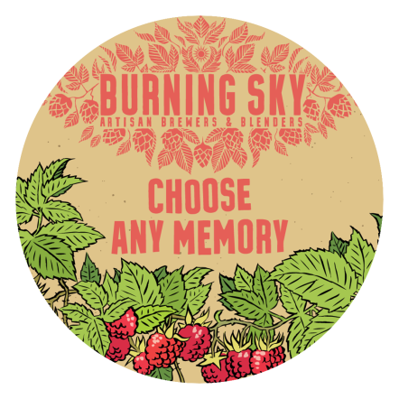 Burning Sky Choose Any Memory